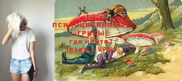 индика Алзамай
