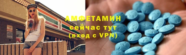 индика Алзамай
