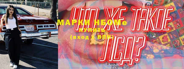индика Алзамай