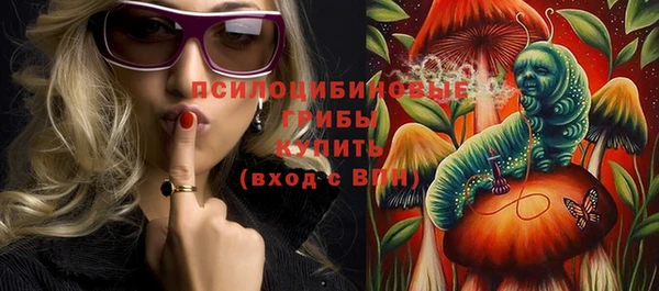 apvp Арсеньев