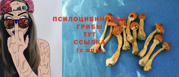 apvp Арсеньев