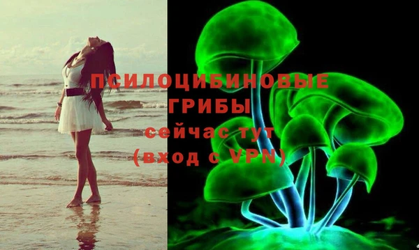 а пвп мука Аркадак