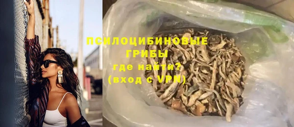 apvp Арсеньев